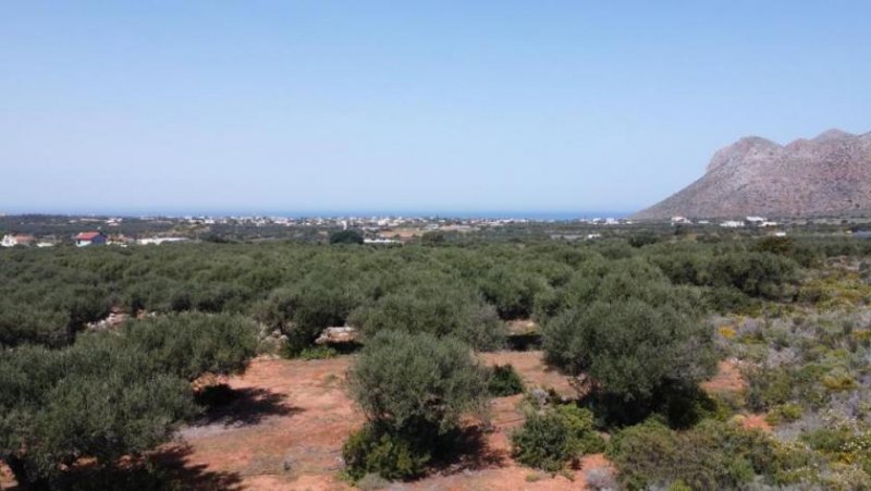 Chorafakia Chania Kreta, Chorafakia Chania: Grundstück mit Meer- und Bergblick zu verkaufen Grundstück kaufen